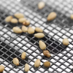 Haarsieb für Abfluss - selbstklebend